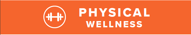 orange banner with white words that say physical wellness