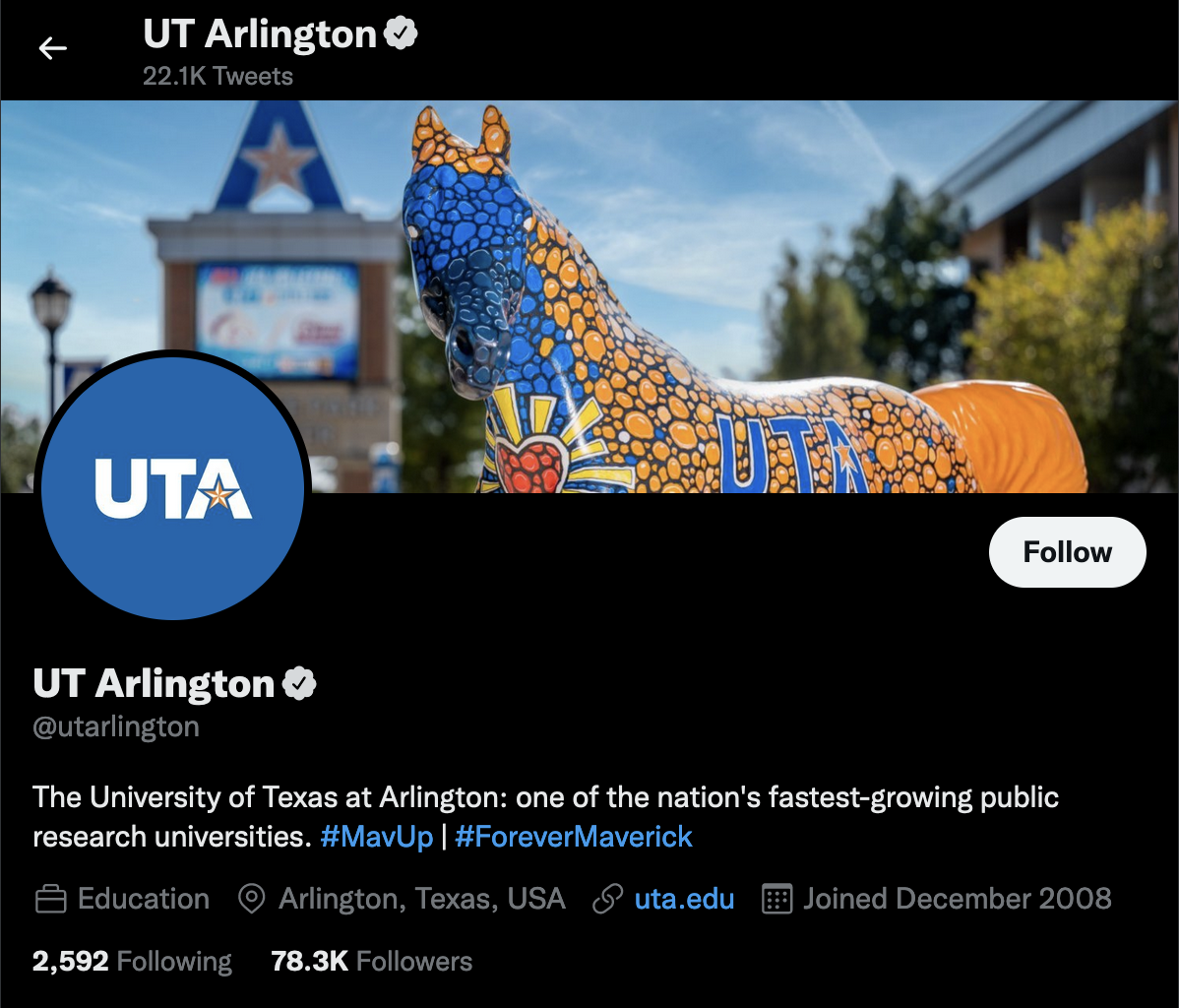 social media profile example