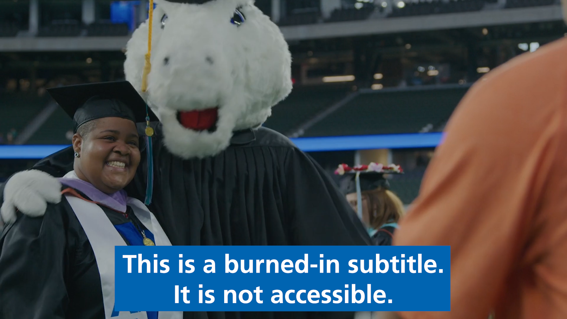 Burned-In-Subtitle-Example.png